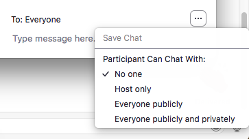 Zoom chat panel